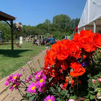 The-Potting-Shed-Cafe-Open-Daily---Primrose-Vale-Farm-Shop---Click-&-Collect---Cheltenham