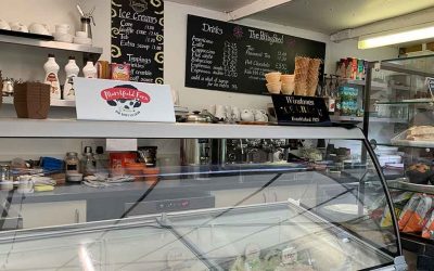 Marshfield Farm Ice Cream