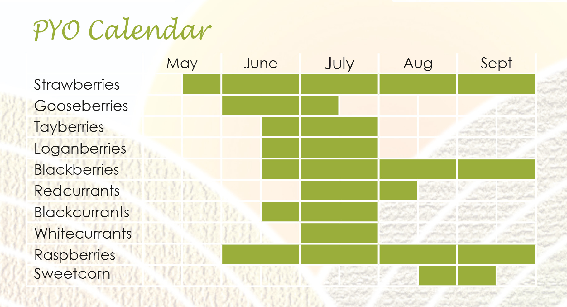 primrose-pyo-calendar-2025